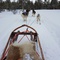 Liten bilde 3