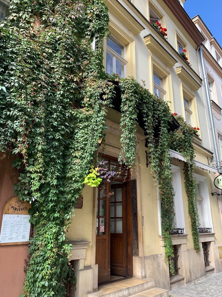 Image 6